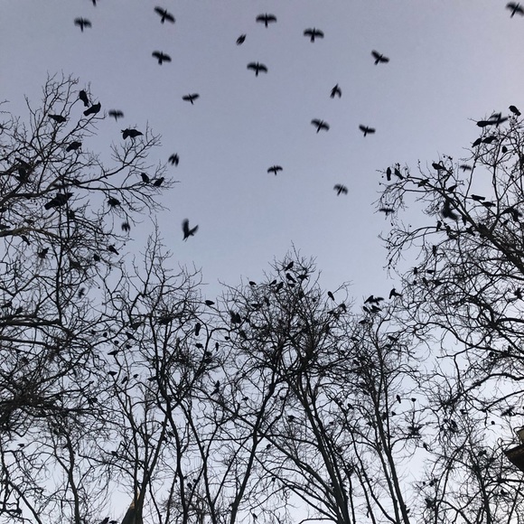 Meet your Posher, Posh - Picture 13 of 14